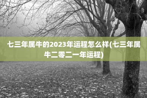 七三年属牛的2023年运程怎么样(七三年属牛二零二一年运程)