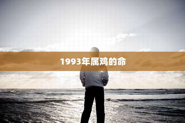 1993年属鸡的命