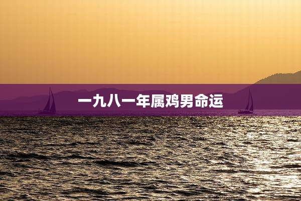 一九八一年属鸡男命运