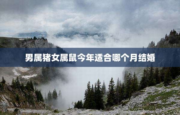 男属猪女属鼠今年适合哪个月结婚