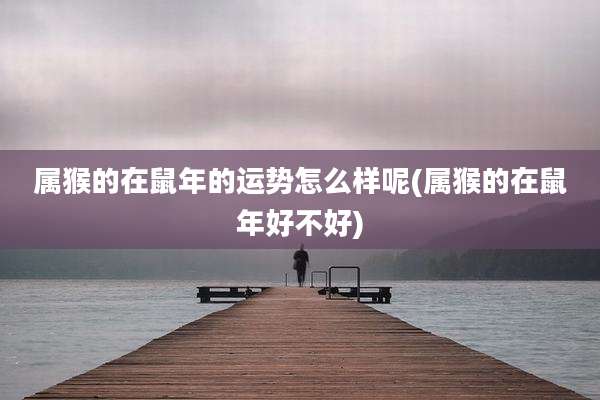 属猴的在鼠年的运势怎么样呢(属猴的在鼠年好不好)