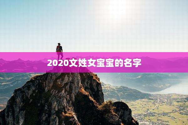 2020文姓女宝宝的名字