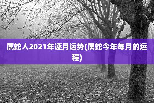属蛇人2021年逐月运势(属蛇今年每月的运程)