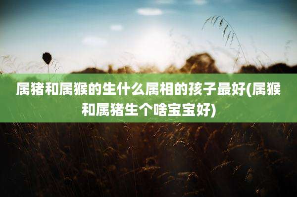 属猪和属猴的生什么属相的孩子最好(属猴和属猪生个啥宝宝好)