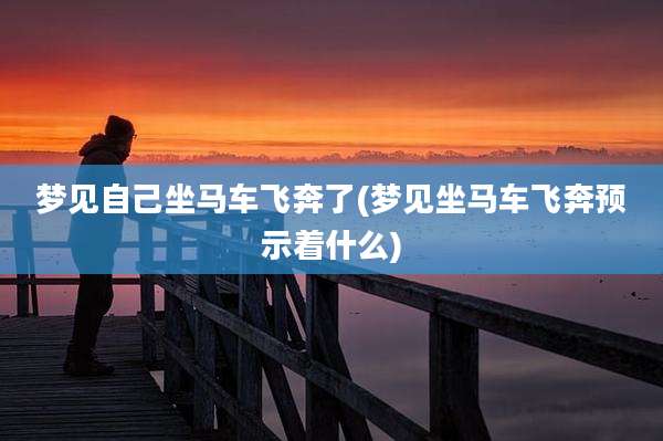 梦见自己坐马车飞奔了(梦见坐马车飞奔预示着什么)