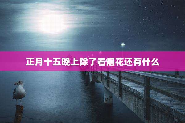 正月十五晚上除了看烟花还有什么