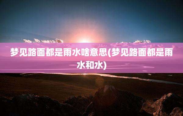 梦见路面都是雨水啥意思(梦见路面都是雨水和水)