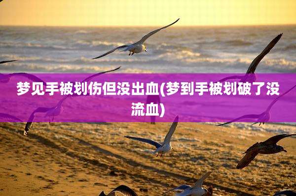 梦见手被划伤但没出血(梦到手被划破了没流血)