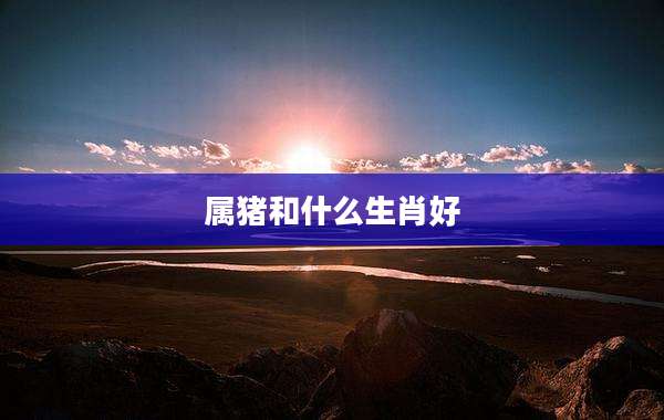属猪和什么生肖好