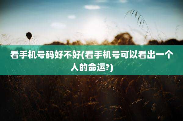 看手机号码好不好(看手机号可以看出一个人的命运?)