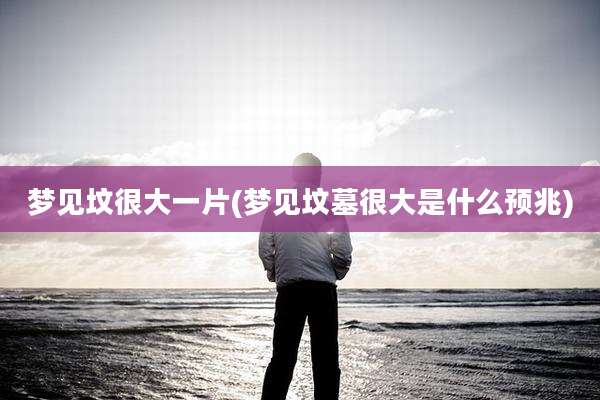 梦见坟很大一片(梦见坟墓很大是什么预兆)