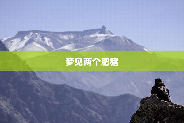 梦见两个肥猪