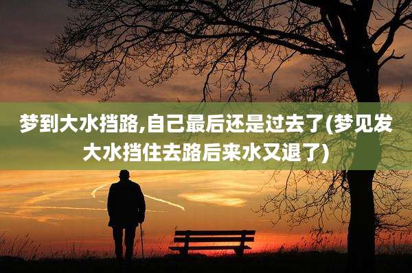 梦到大水挡路,自己最后还是过去了(梦见发大水挡住去路后来水又退了)