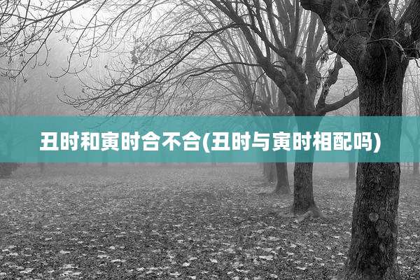 丑时和寅时合不合(丑时与寅时相配吗)