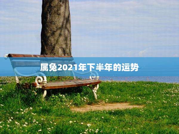 属兔2021年下半年的运势