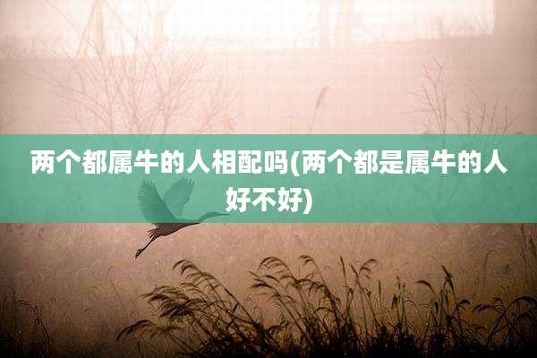 两个都属牛的人相配吗(两个都是属牛的人好不好)