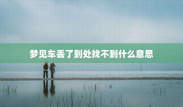 梦见车丢了到处找不到什么意思