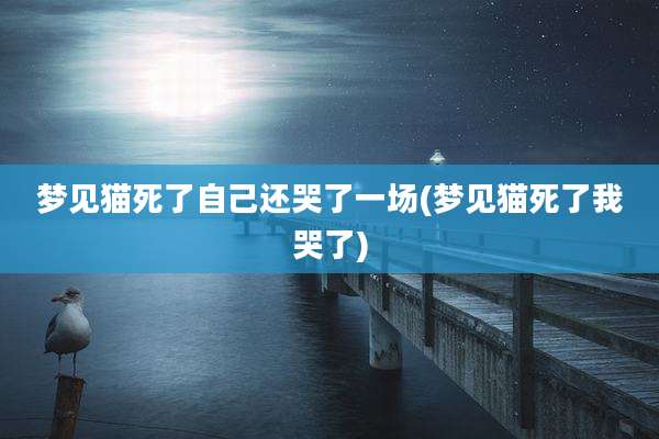 梦见猫死了自己还哭了一场(梦见猫死了我哭了)