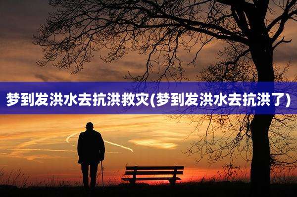 梦到发洪水去抗洪救灾(梦到发洪水去抗洪了)