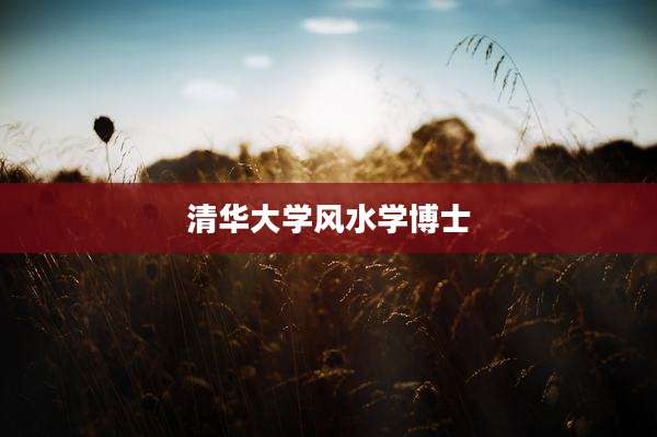 清华大学风水学博士
