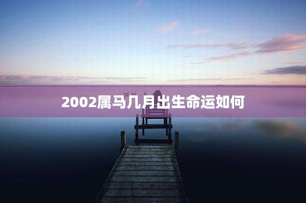 2002属马几月出生命运如何