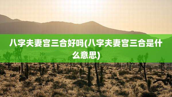 八字夫妻宫三合好吗(八字夫妻宫三合是什么意思)