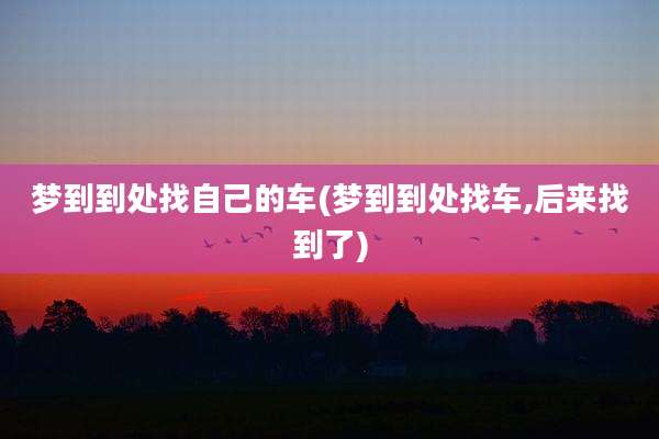 梦到到处找自己的车(梦到到处找车,后来找到了)