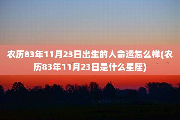 农历83年11月23日出生的人命运怎么样(农历83年11月23日是什么星座)