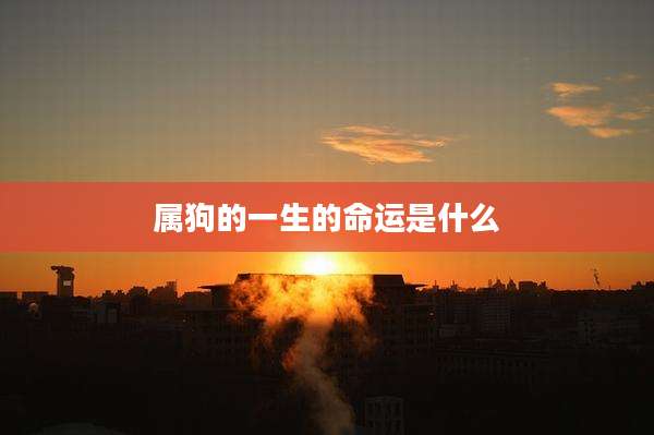 属狗的一生的命运是什么