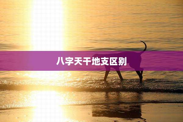 八字天干地支区别