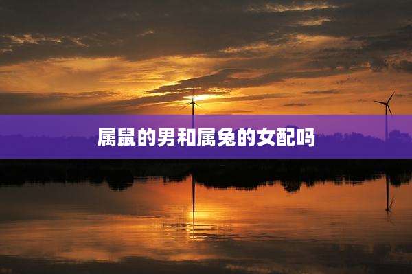 属鼠的男和属兔的女配吗