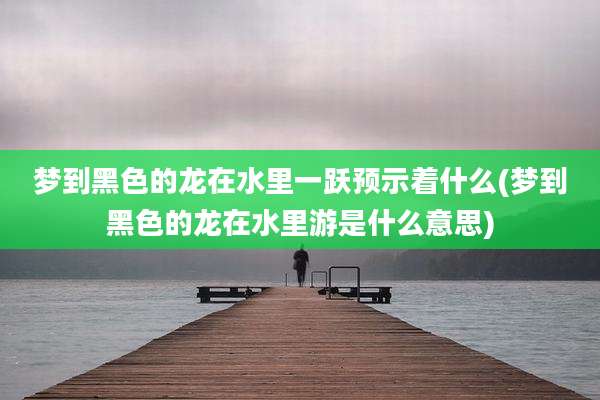 梦到黑色的龙在水里一跃预示着什么(梦到黑色的龙在水里游是什么意思)