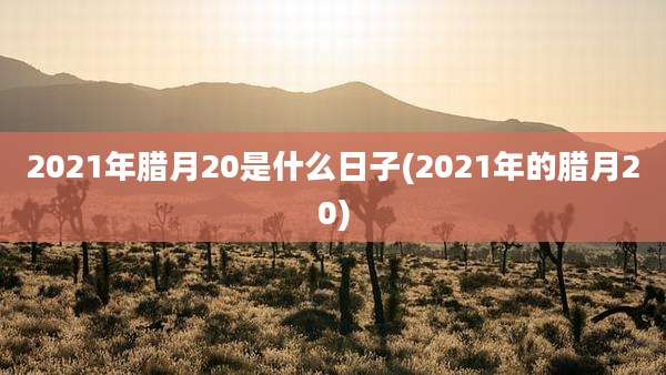 2021年腊月20是什么日子(2021年的腊月20)