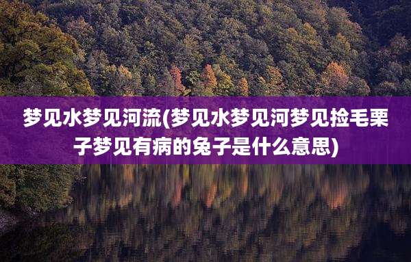 梦见水梦见河流(梦见水梦见河梦见捡毛栗子梦见有病的兔子是什么意思)