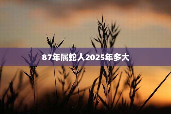 87年属蛇人2025年多大