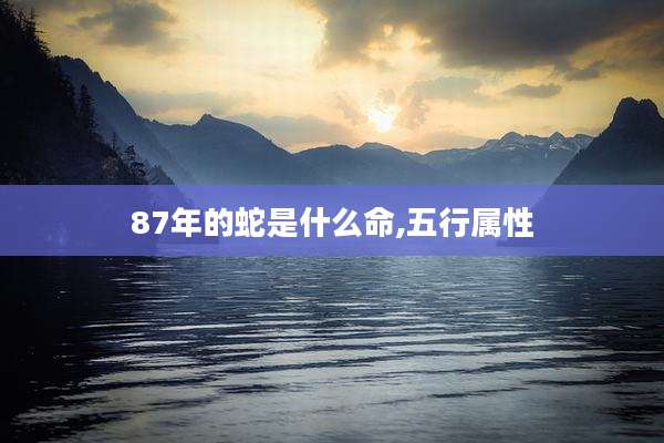 87年的蛇是什么命,五行属性
