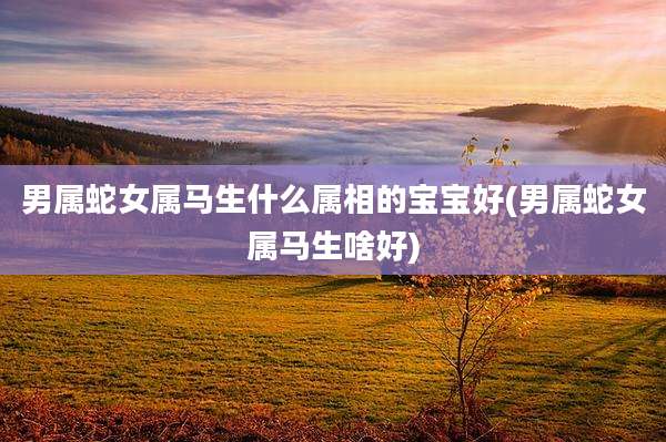 男属蛇女属马生什么属相的宝宝好(男属蛇女属马生啥好)