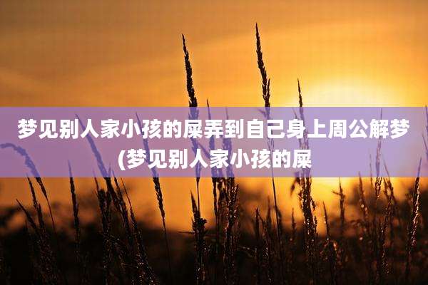 梦见别人家小孩的屎弄到自己身上周公解梦(梦见别人家小孩的屎