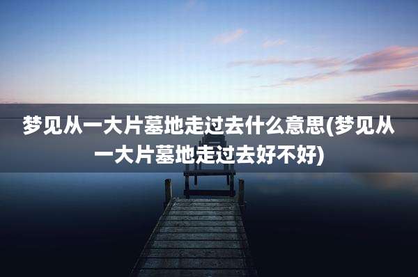 梦见从一大片墓地走过去什么意思(梦见从一大片墓地走过去好不好)