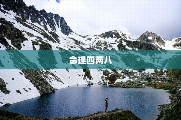 命理四两八