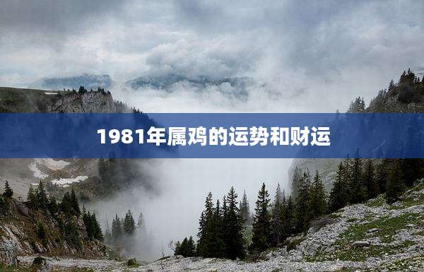 1981年属鸡的运势和财运