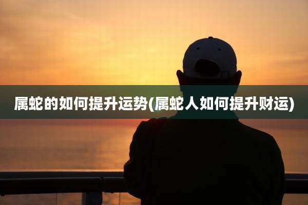 属蛇的如何提升运势(属蛇人如何提升财运)