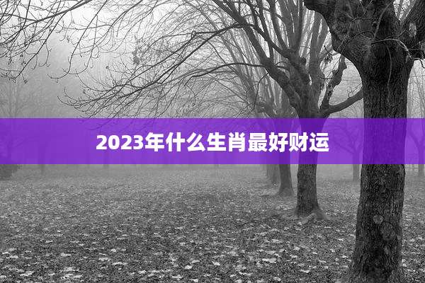 2023年什么生肖最好财运