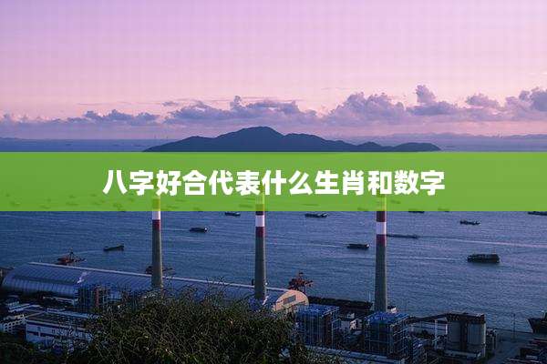 八字好合代表什么生肖和数字