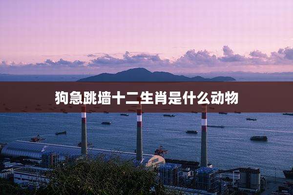 狗急跳墙十二生肖是什么动物