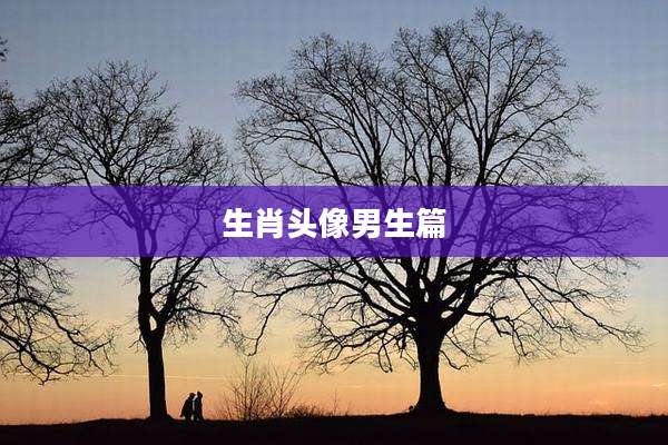 生肖头像男生篇