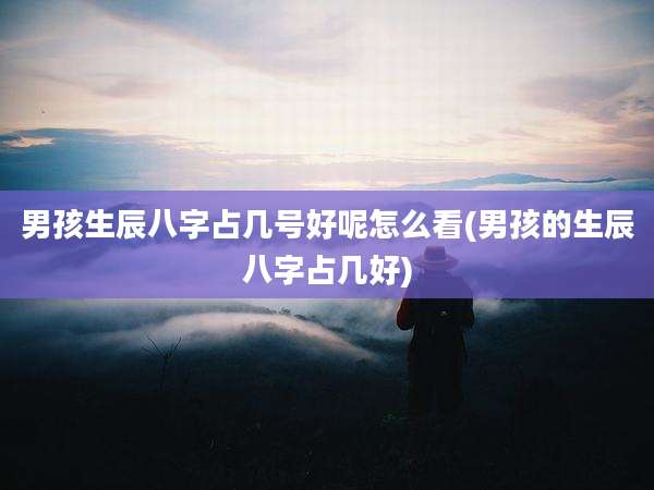 男孩生辰八字占几号好呢怎么看(男孩的生辰八字占几好)