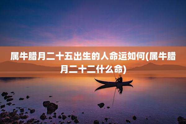 属牛腊月二十五出生的人命运如何(属牛腊月二十二什么命)
