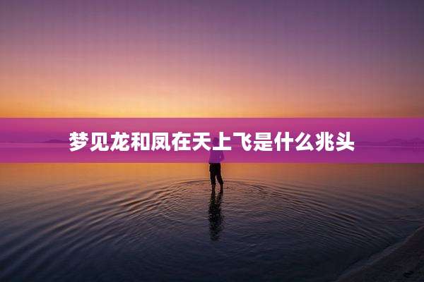 梦见龙和凤在天上飞是什么兆头