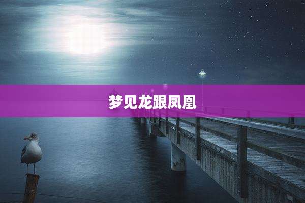 梦见龙跟凤凰